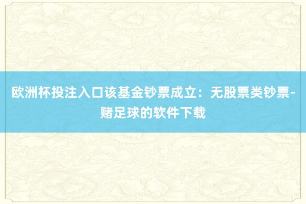 欧洲杯投注入口该基金钞票成立：无股票类钞票-赌足球的软件下载