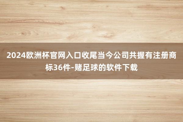 2024欧洲杯官网入口收尾当今公司共握有注册商标36件-赌足球的软件下载