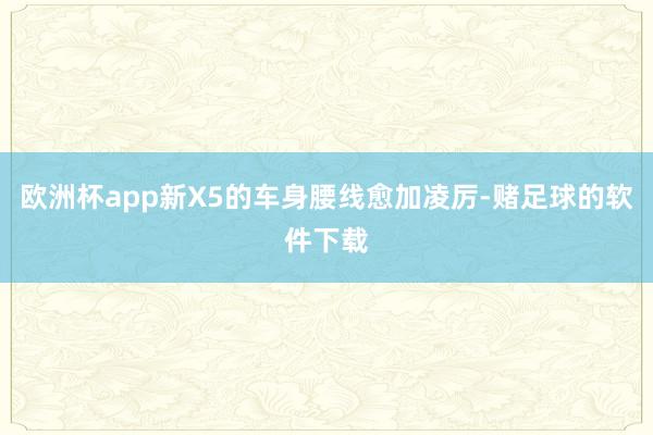 欧洲杯app新X5的车身腰线愈加凌厉-赌足球的软件下载