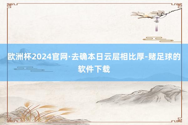 欧洲杯2024官网·去确本日云层相比厚-赌足球的软件下载
