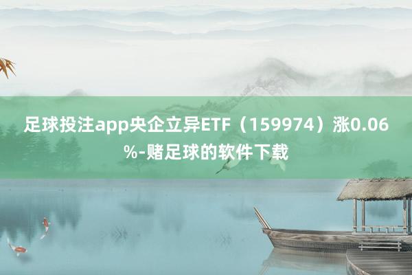 足球投注app央企立异ETF（159974）涨0.06%-赌足球的软件下载