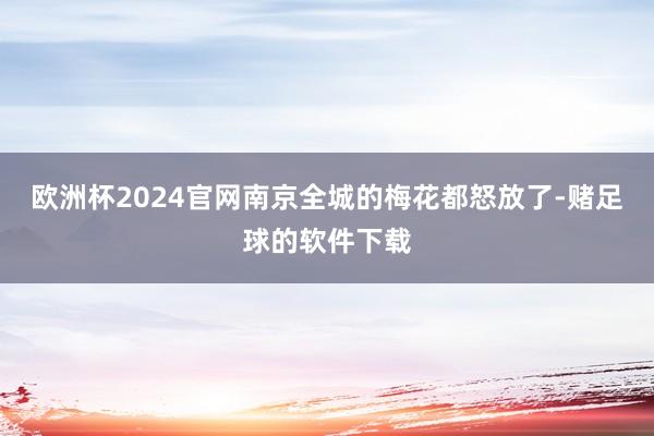 欧洲杯2024官网南京全城的梅花都怒放了-赌足球的软件下载