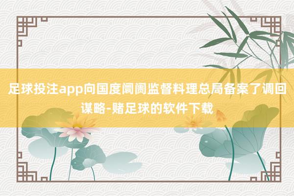 足球投注app向国度阛阓监督料理总局备案了调回谋略-赌足球的软件下载