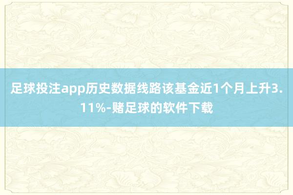 足球投注app历史数据线路该基金近1个月上升3.11%-赌足球的软件下载