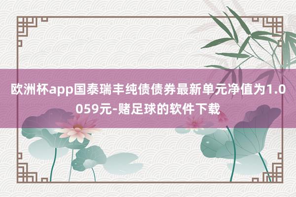 欧洲杯app国泰瑞丰纯债债券最新单元净值为1.0059元-赌足球的软件下载