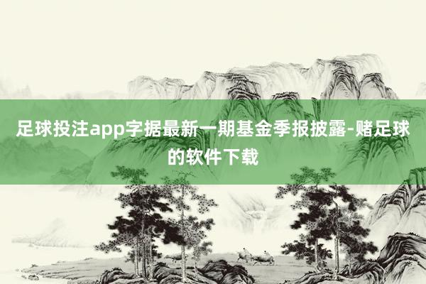 足球投注app字据最新一期基金季报披露-赌足球的软件下载