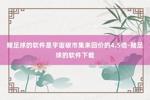 赌足球的软件是宇宙碳市集来回价的4.5倍-赌足球的软件下载