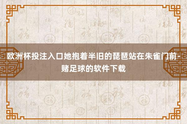 欧洲杯投注入口她抱着半旧的琵琶站在朱雀门前-赌足球的软件下载