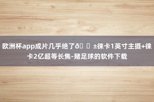欧洲杯app成片几乎绝了📱徕卡1英寸主摄+徕卡2亿超等长焦-赌足球的软件下载