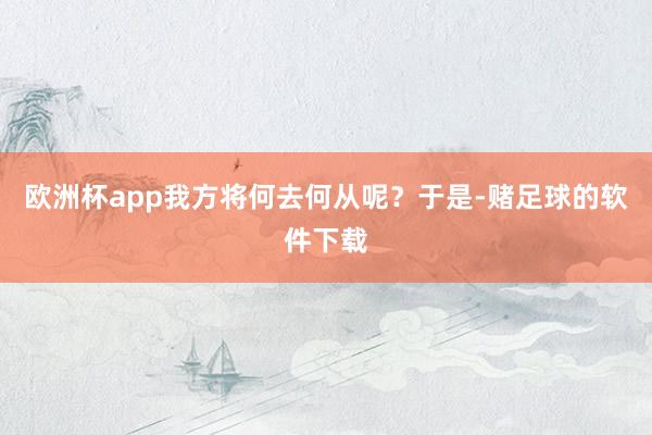 欧洲杯app我方将何去何从呢？于是-赌足球的软件下载