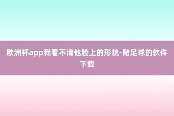 欧洲杯app我看不清他脸上的形貌-赌足球的软件下载