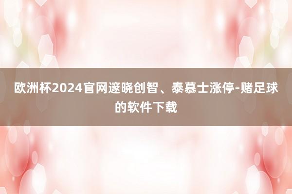 欧洲杯2024官网邃晓创智、泰慕士涨停-赌足球的软件下载