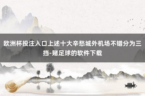 欧洲杯投注入口上述十大辛愁城外机场不错分为三挡-赌足球的软件下载