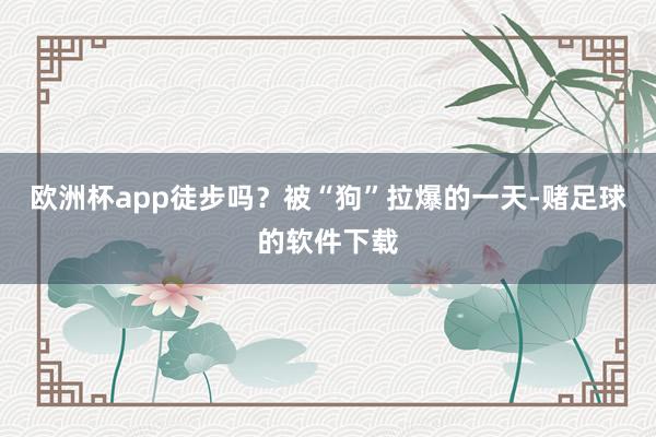 欧洲杯app徒步吗？被“狗”拉爆的一天-赌足球的软件下载