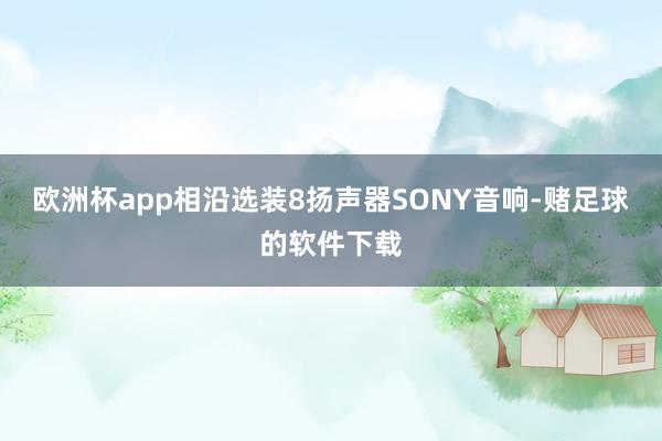 欧洲杯app相沿选装8扬声器SONY音响-赌足球的软件下载
