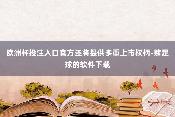 欧洲杯投注入口官方还将提供多重上市权柄-赌足球的软件下载