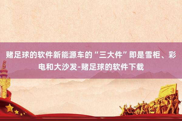 赌足球的软件新能源车的“三大件”即是雪柜、彩电和大沙发-赌足球的软件下载