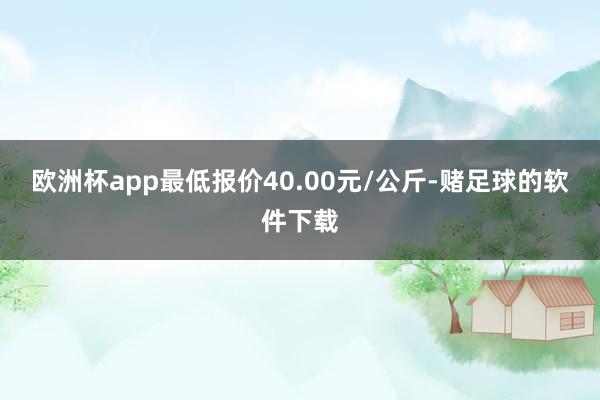 欧洲杯app最低报价40.00元/公斤-赌足球的软件下载
