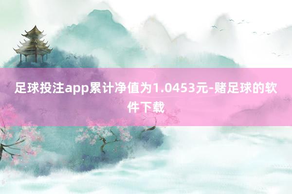 足球投注app累计净值为1.0453元-赌足球的软件下载