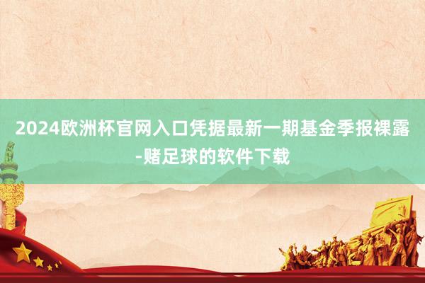 2024欧洲杯官网入口凭据最新一期基金季报裸露-赌足球的软件下载