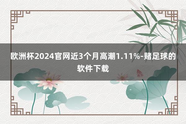 欧洲杯2024官网近3个月高潮1.11%-赌足球的软件下载