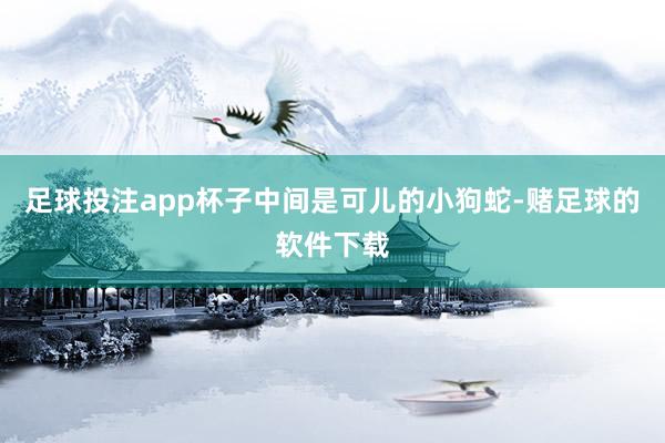 足球投注app杯子中间是可儿的小狗蛇-赌足球的软件下载