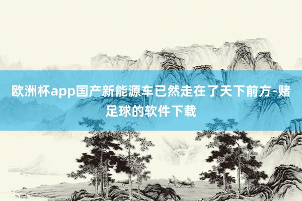 欧洲杯app国产新能源车已然走在了天下前方-赌足球的软件下载
