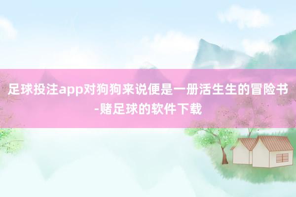 足球投注app对狗狗来说便是一册活生生的冒险书-赌足球的软件下载