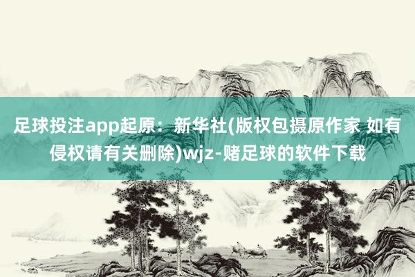 足球投注app起原：新华社(版权包摄原作家 如有侵权请有关删除)wjz-赌足球的软件下载