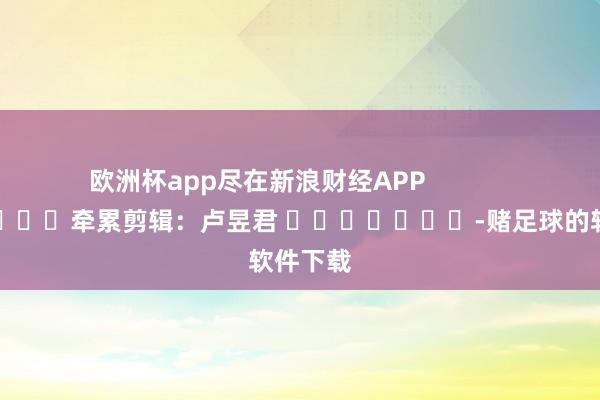 欧洲杯app尽在新浪财经APP            						牵累剪辑：卢昱君 							-赌足球的软件下载