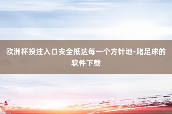 欧洲杯投注入口安全抵达每一个方针地-赌足球的软件下载