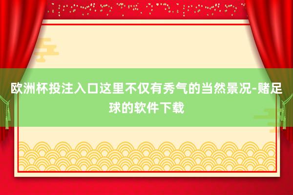 欧洲杯投注入口这里不仅有秀气的当然景况-赌足球的软件下载