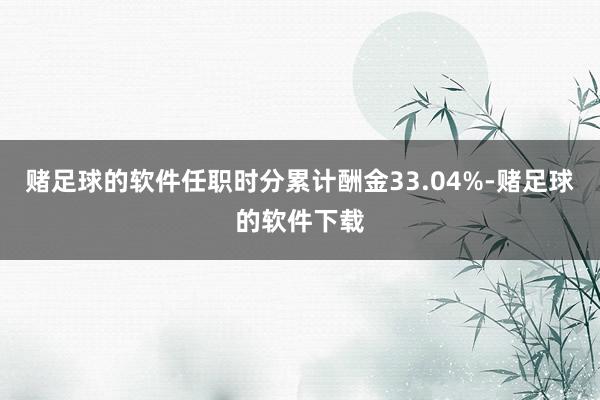 赌足球的软件任职时分累计酬金33.04%-赌足球的软件下载