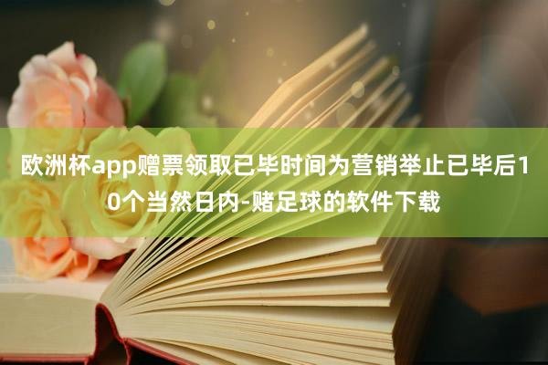 欧洲杯app赠票领取已毕时间为营销举止已毕后10个当然日内-赌足球的软件下载