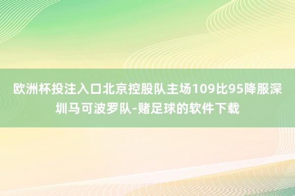 欧洲杯投注入口北京控股队主场109比95降服深圳马可波罗队-赌足球的软件下载