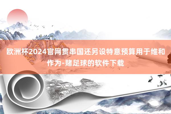 欧洲杯2024官网贯串国还另设特意预算用于维和作为-赌足球的软件下载