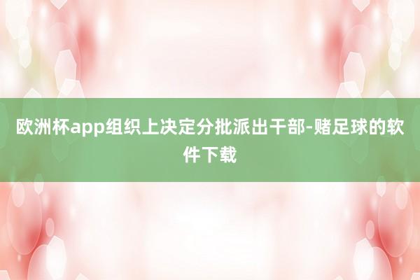 欧洲杯app组织上决定分批派出干部-赌足球的软件下载