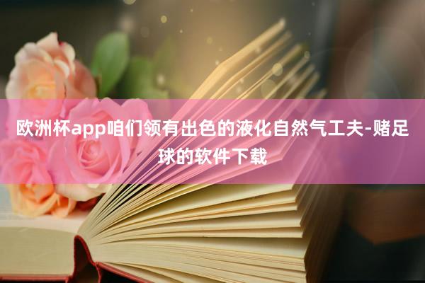 欧洲杯app咱们领有出色的液化自然气工夫-赌足球的软件下载