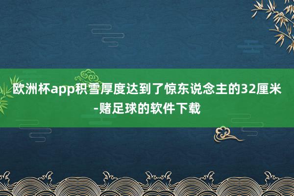 欧洲杯app积雪厚度达到了惊东说念主的32厘米-赌足球的软件下载
