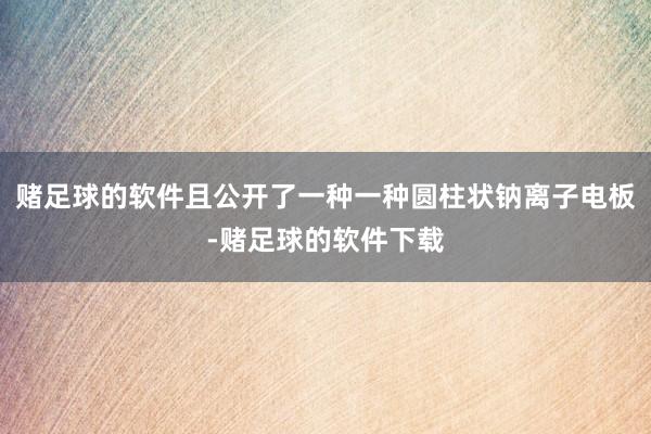 赌足球的软件且公开了一种一种圆柱状钠离子电板-赌足球的软件下载