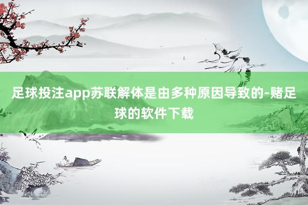 足球投注app苏联解体是由多种原因导致的-赌足球的软件下载