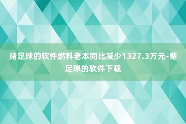赌足球的软件燃料老本同比减少1327.3万元-赌足球的软件下载