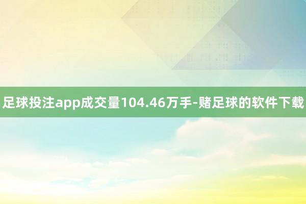 足球投注app成交量104.46万手-赌足球的软件下载