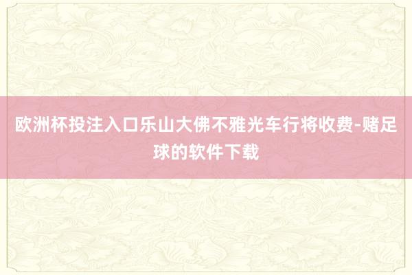 欧洲杯投注入口乐山大佛不雅光车行将收费-赌足球的软件下载
