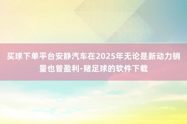 买球下单平台安静汽车在2025年无论是新动力销量也曾盈利-赌足球的软件下载
