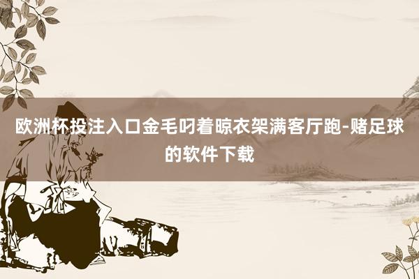 欧洲杯投注入口金毛叼着晾衣架满客厅跑-赌足球的软件下载