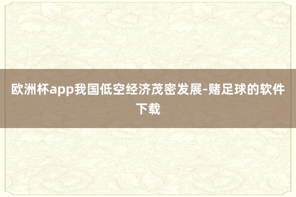 欧洲杯app我国低空经济茂密发展-赌足球的软件下载