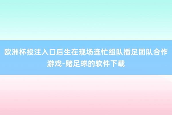 欧洲杯投注入口后生在现场连忙组队插足团队合作游戏-赌足球的软件下载