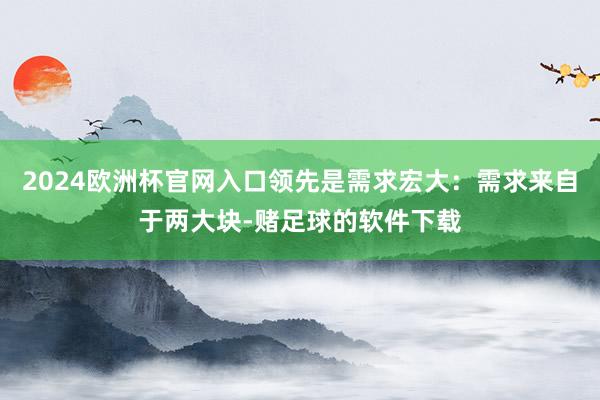 2024欧洲杯官网入口领先是需求宏大：需求来自于两大块-赌足球的软件下载