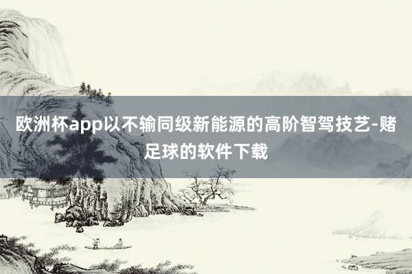欧洲杯app以不输同级新能源的高阶智驾技艺-赌足球的软件下载